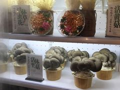 -大匠工房古船木艺术餐厅·猪肚鸡专门店(长白仙岛店)