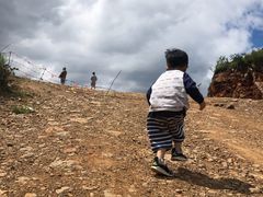 -长虫山生态公园风景林