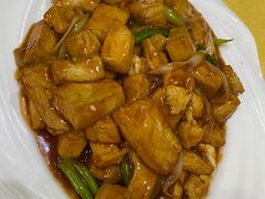 葱烧豆腐-金冠水饺(校场街店)