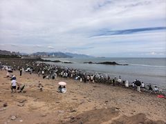 -小麦岛公园