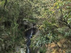 -宁波市保国寺古建筑博物馆