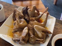 -百利鸽王(紫薇路店)