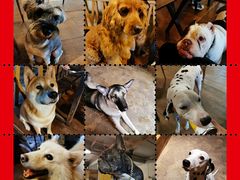 -萌喵咖啡屋(人民东路4号口M16商铺店)
