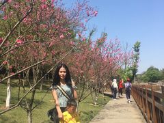 -常德桃花源景区