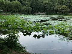-云溪植物园