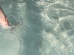 -杭州浪浪浪水公园