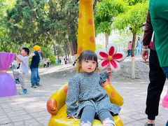 -保定市动物园