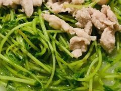 熏鸡丝黑豆苗-长春凯悦酒店-品悦中餐厅