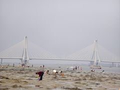 -北海金海湾红树林生态旅游区