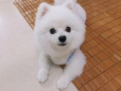 -宝安体育馆游泳馆