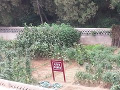 -延安杨家岭革命旧址