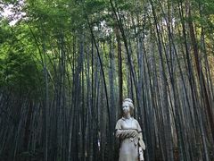 -敬亭山风景名胜区