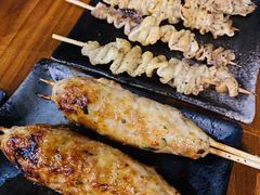 鸡肉棒-串鑫