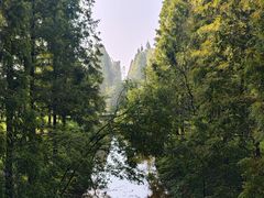 -黄海国家森林公园