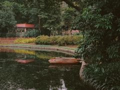 -晓港公园