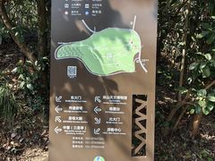 -上海佘山国家森林公园西佘山园