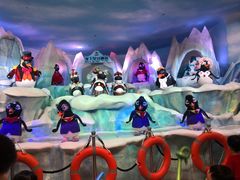 -帝企鹅自助餐厅•儿童岛•真企鹅(长隆企鹅酒店)