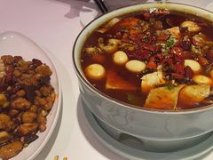 渝信毛血旺-渝信川菜(工体店)