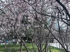 -西宁市人民公园(城西区)