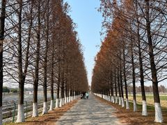 -嘉北郊野公园