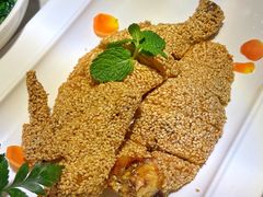 芝麻鸡-国惠大酒楼(宝龙店)