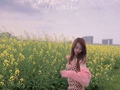 -光明小镇欢乐田园