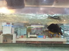 -集草轩·重庆麻辣烤鱼(西湖道店)