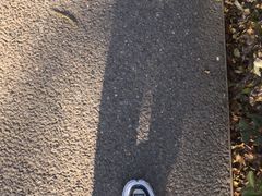 -灞河西岸滨河公园