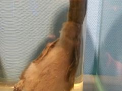 -泉城欧乐堡海洋极地世界