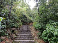 -火炉山森林公园