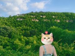 -天目湖山水园