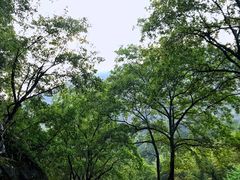 -雅鲁激流探险漂流