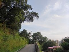 -牛岗山公园
