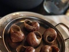 松露蜗牛-金蜗牛