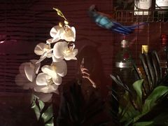 -VERVO金酒吧·独立电音俱乐部(正义坊购物中心店)