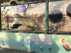 -北京鹿世界主题园