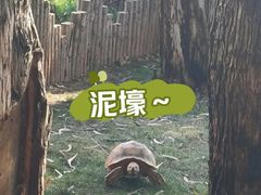 -云南野生动物园