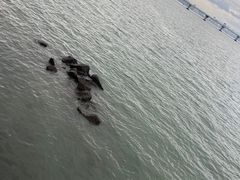 -五缘湾湿地公园