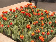 -农园餐厅(北京大学店)