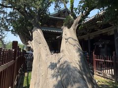 -晋祠博物馆