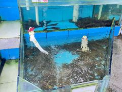 -考记泥焗鸡农庄·海鲜(北洛秘境店)