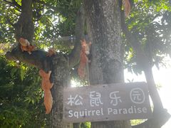 -青青世界