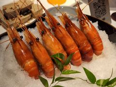 -桂满陇·海市蜃楼·黑金(国金店)