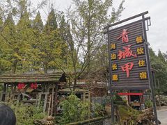 -青城甲(青城山店)