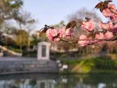 -奉浦四季生态园