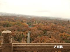 -灵谷景区