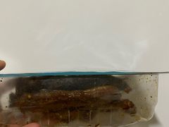 -周黑鸭(天河机场店)
