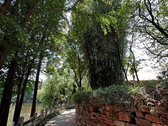-云南民族村