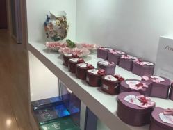 -晶奕空间专业脱毛连锁机构