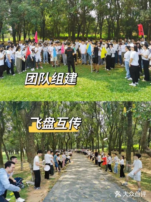 松山湖南湖湾露营营地图片